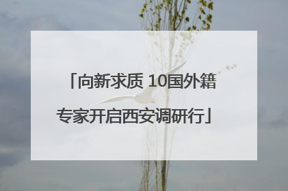 向新求质 10国外籍专家开启西安调研行