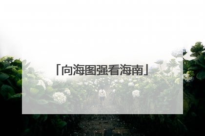 向海图强看海南