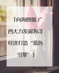 向海图强 广西大力发展海洋经济打造“蓝色引擎”