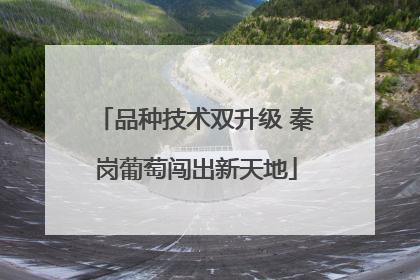 品种技术双升级 秦岗葡萄闯出新天地