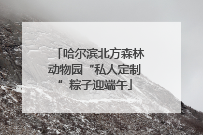 哈尔滨北方森林动物园“私人定制”粽子迎端午