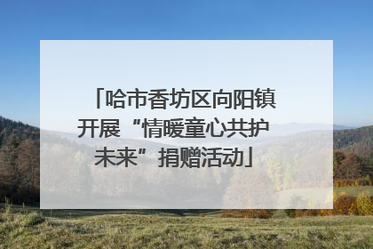 哈市香坊区向阳镇开展“情暖童心共护未来”捐赠活动