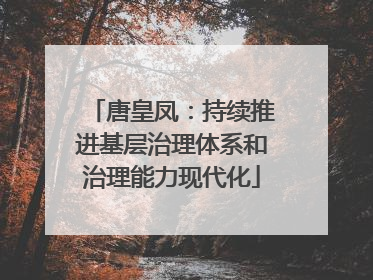 唐皇凤：持续推进基层治理体系和治理能力现代化