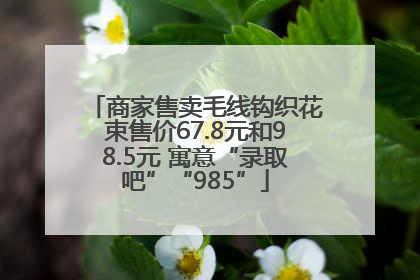商家售卖毛线钩织花束售价67.8元和98.5元 寓意“录取吧”“985”