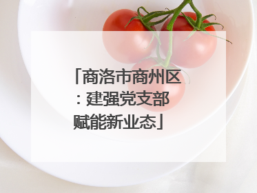 商洛市商州区：建强党支部 赋能新业态