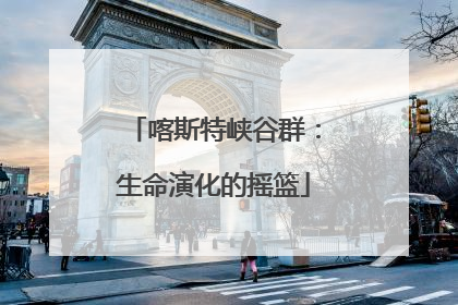 喀斯特峡谷群：生命演化的摇篮