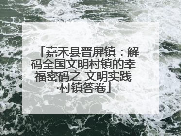 嘉禾县晋屏镇：解码全国文明村镇的幸福密码之 文明实践·村镇答卷