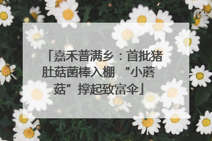 嘉禾普满乡：首批猪肚菇菌棒入棚 “小蘑菇”撑起致富伞