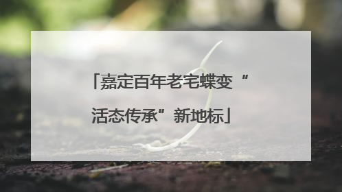 嘉定百年老宅蝶变“活态传承”新地标