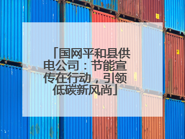国网平和县供电公司：节能宣传在行动，引领低碳新风尚