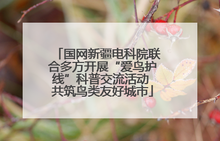 国网新疆电科院联合多方开展“爱鸟护线”科普交流活动 共筑鸟类友好城市