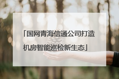国网青海信通公司打造机房智能巡检新生态