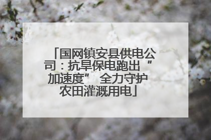 国网镇安县供电公司：抗旱保电跑出“加速度” 全力守护农田灌溉用电