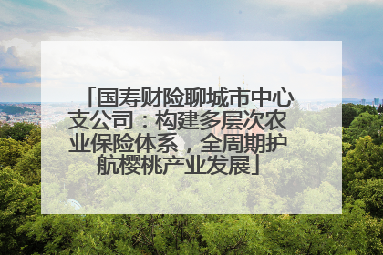 国寿财险聊城市中心支公司：构建多层次农业保险体系，全周期护航樱桃产业发展