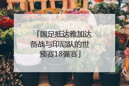 国足抵达雅加达备战与印尼队的世预赛18强赛