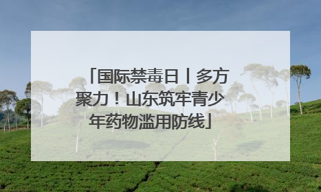 国际禁毒日丨多方聚力！山东筑牢青少年药物滥用防线
