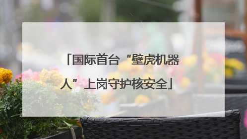 国际首台“壁虎机器人”上岗守护核安全