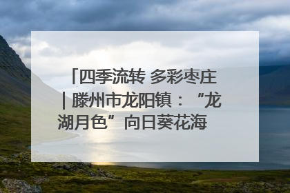 四季流转 多彩枣庄｜滕州市龙阳镇：“龙湖月色”向日葵花海 绘就乡村振兴新画卷