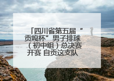 四川省第五届“贡嘎杯”男子排球（初中组）总决赛开赛 自贡这支队伍打进半决赛