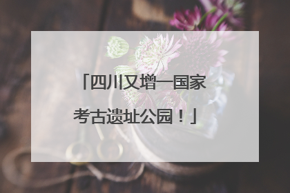 四川又增一国家考古遗址公园！