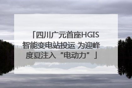 四川广元首座HGIS智能变电站投运 为迎峰度夏注入“电动力”