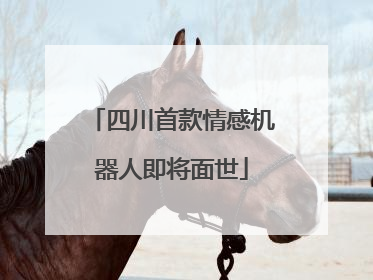 四川首款情感机器人即将面世