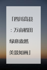 四川高县：万亩稻田绿意盎然 美景如画