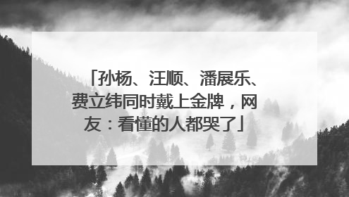 孙杨、汪顺、潘展乐、费立纬同时戴上金牌，网友：看懂的人都哭了