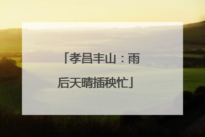 孝昌丰山：雨后天晴插秧忙