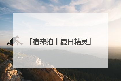 宿来拍丨夏日精灵