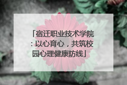 宿迁职业技术学院：以心育心，共筑校园心理健康防线