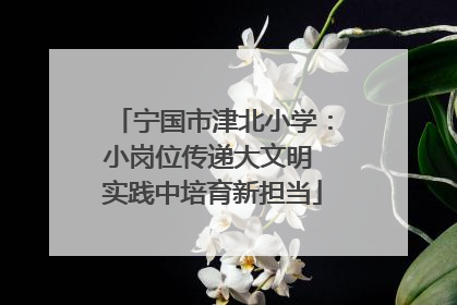 宁国市津北小学：小岗位传递大文明 实践中培育新担当