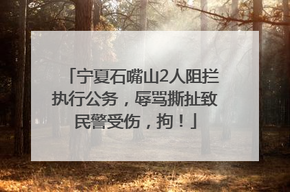 宁夏石嘴山2人阻拦执行公务，辱骂撕扯致民警受伤，拘！