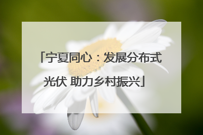 宁夏同心：发展分布式光伏 助力乡村振兴