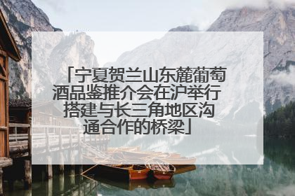 宁夏贺兰山东麓葡萄酒品鉴推介会在沪举行 搭建与长三角地区沟通合作的桥梁