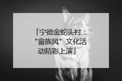 宁德金蛇头村：“畲族风”文化活动精彩上演