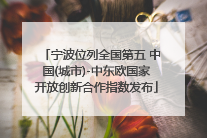 宁波位列全国第五 中国(城市)-中东欧国家开放创新合作指数发布