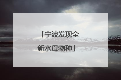 宁波发现全新水母物种
