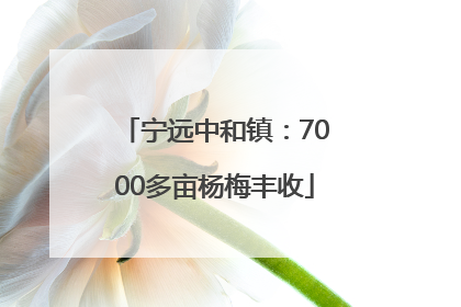 宁远中和镇：7000多亩杨梅丰收
