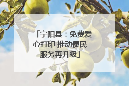 宁阳县：免费爱心打印 推动便民服务再升级