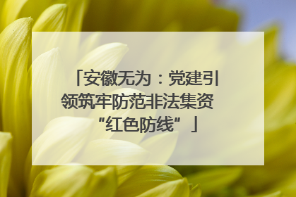 安徽无为：党建引领筑牢防范非法集资“红色防线”