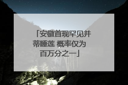 安徽首现罕见并蒂睡莲 概率仅为百万分之一