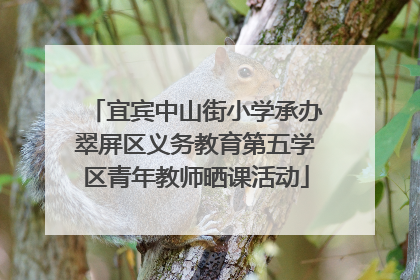 宜宾中山街小学承办翠屏区义务教育第五学区青年教师晒课活动