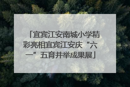 宜宾江安南城小学精彩亮相宜宾江安庆“六一”五育并举成果展