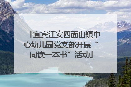 宜宾江安四面山镇中心幼儿园党支部开展“同读一本书”活动