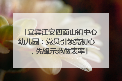 宜宾江安四面山镇中心幼儿园：党员引领亮初心，先锋示范做表率