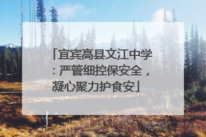 宜宾高县文江中学：严管细控保安全，凝心聚力护食安