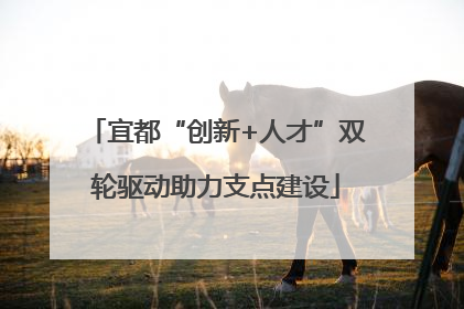 宜都“创新+人才”双轮驱动助力支点建设