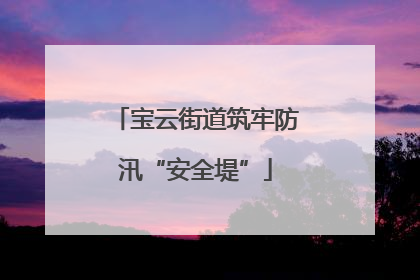 宝云街道筑牢防汛“安全堤”