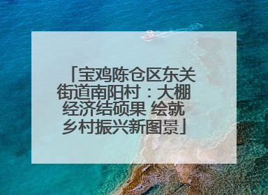 宝鸡陈仓区东关街道南阳村：大棚经济结硕果 绘就乡村振兴新图景